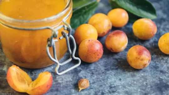 Confiture de mirabelles
