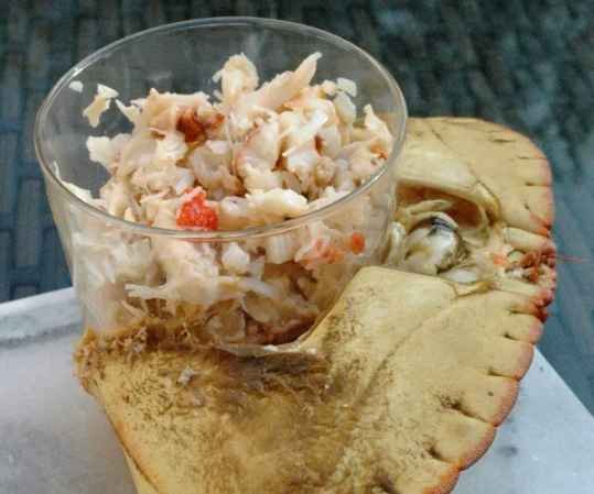 Crabe brésilien