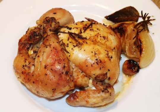 Coquelet florentin