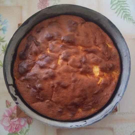 le pommier (gâteau sans beurre ni huile)