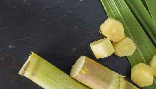 Sirop de canne