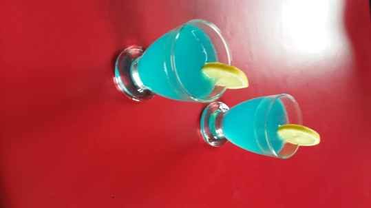 Gin fizz facile