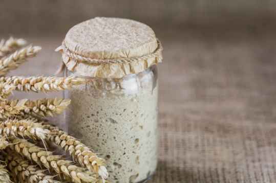 Levain