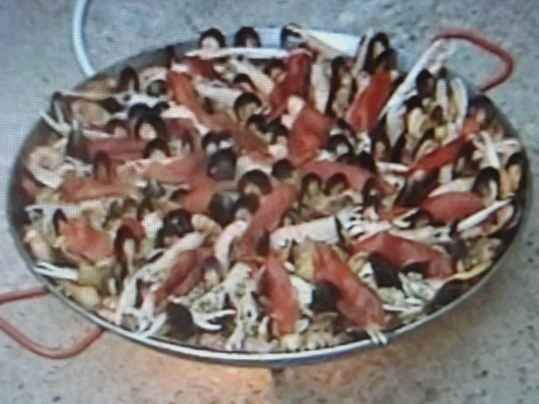 Paella de la paillotte aux blancs de seiche, lapin et crustacés...