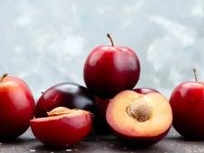 Prune