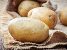 Pomme de terre