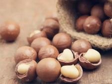 Noix de macadamia