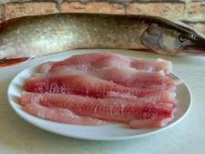 Brochet