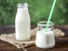 Lait fermenté