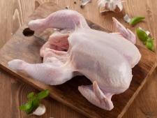Poulet
