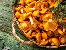 Girolle