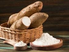 Manioc