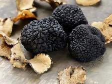 Truffe