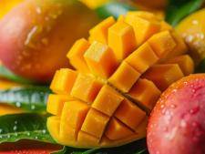 Mangue