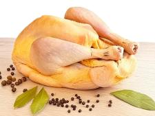 Pintade