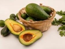 Avocat