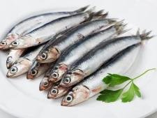 Anchois