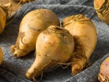 Rutabaga