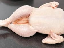 Coquelet