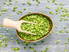 Lentille verte
