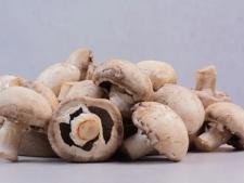 Champignon