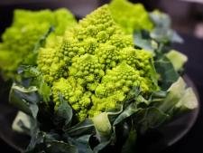 Chou romanesco