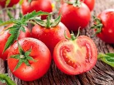 Tomate