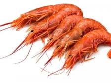 Gambas