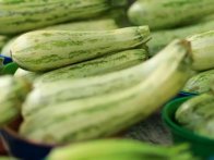 Courgette