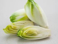 Endive