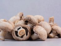 Champignon