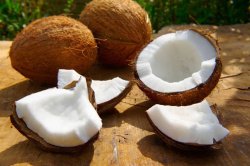 Tout savoir sur la noix de coco
