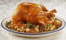 32 Meilleures Recettes de Dinde pour un Repas de Noël Inoubliable