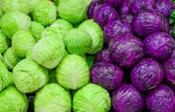 Chou : Variétés, Bienfaits, Cuisson et idées de recettes