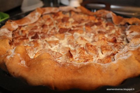 Tarte pomme-poire-cannelle