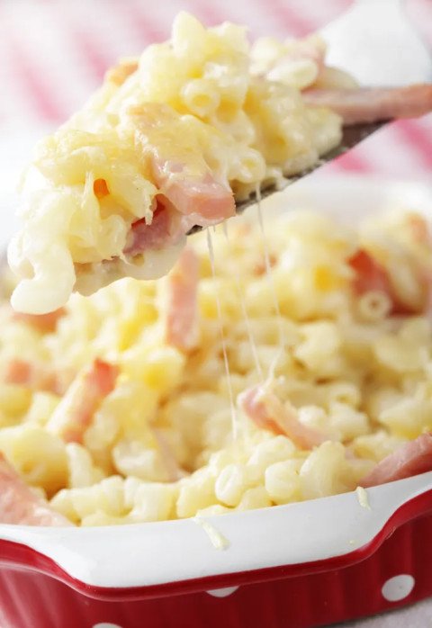 Gâteau de pâtes (nouilles)