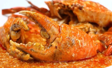 Chilli crabe à la singapourienne