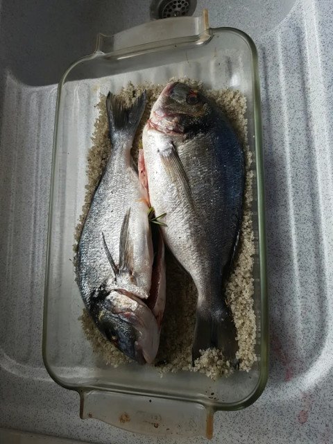 Dorade en croûte de sel