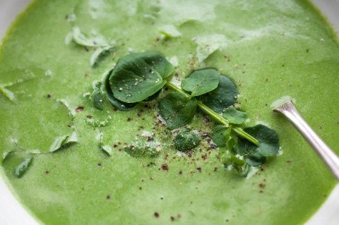 Soupe de cresson au lait de soja