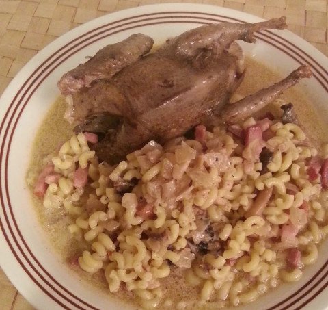 Pigeons aux lardons et champignons