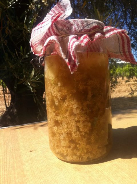 Limonade maison au sureau