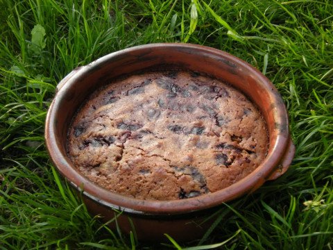 Gâteau aux prunes (Val de Saône)