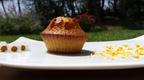 Muffins aux zestes d'orange et de citron