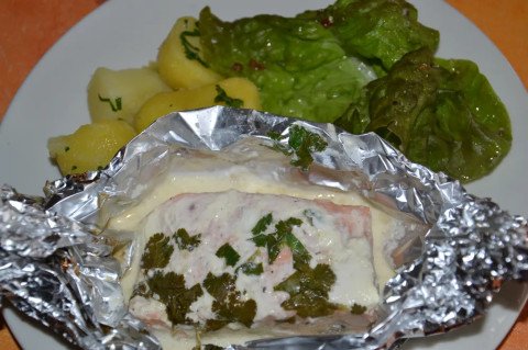 Papillotes de saumon à la coriandre