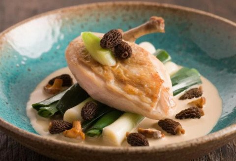 Suprême de chapon aux morilles