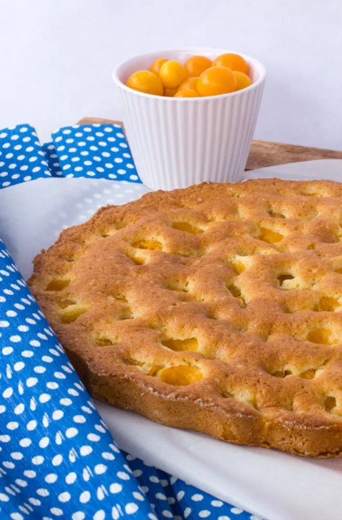 Gâteau au yaourt et aux mirabelles