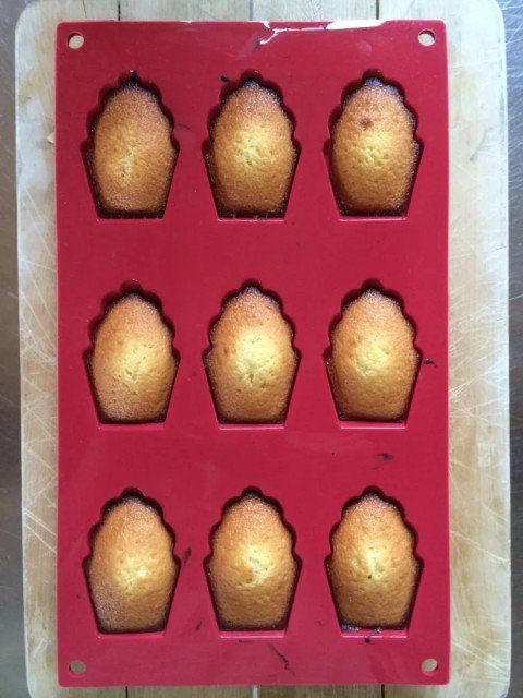 madeleines