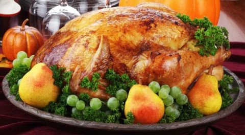 Dinde de Thanksgiving