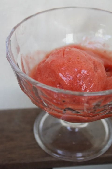 Sorbet fraise & rhubarbe