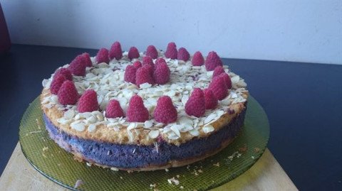 Framboisier revisité